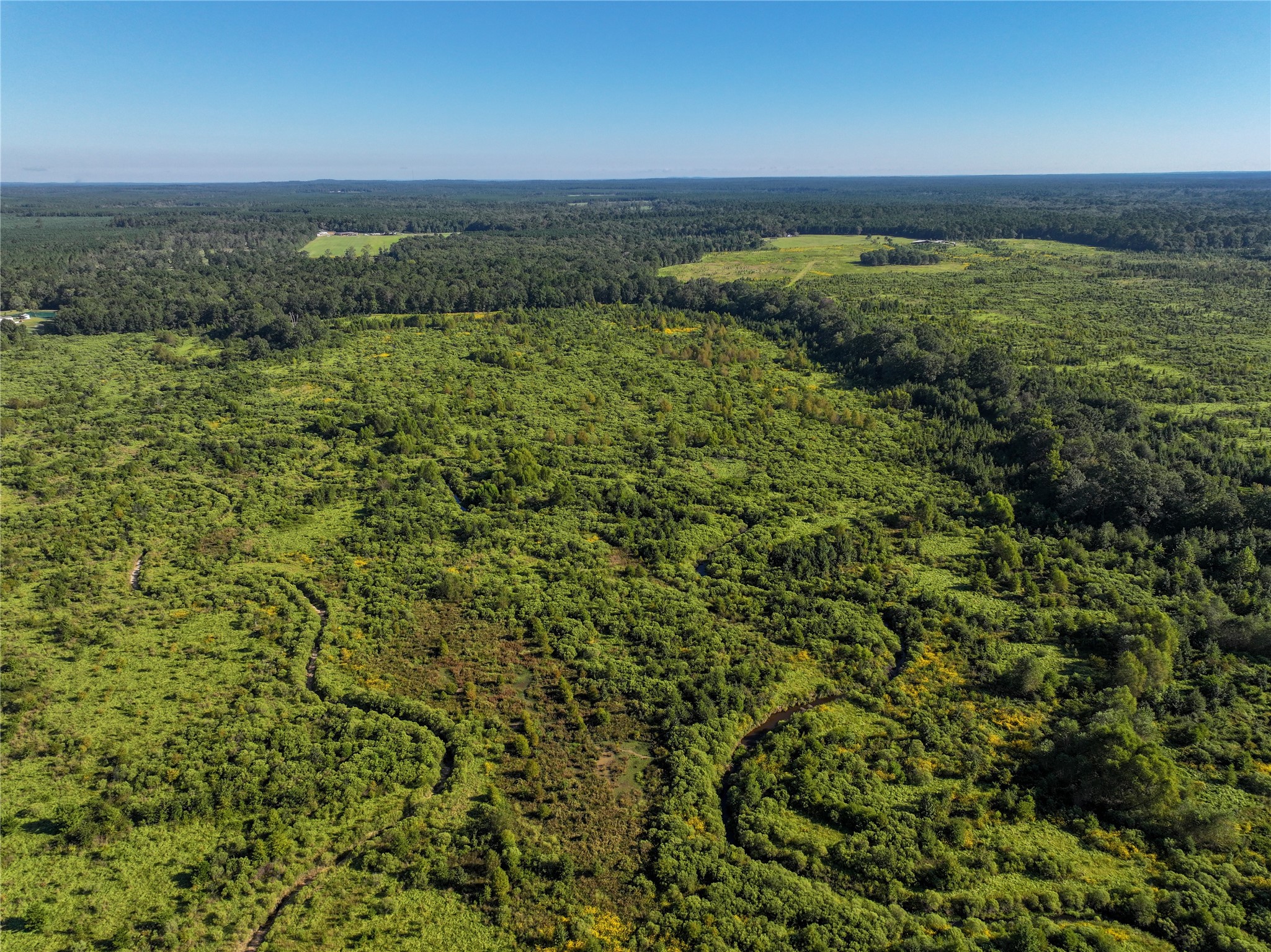 2792 Forest Hopson Road Zavalla, TX 75980 - Photo 5 of 31 a view of a green field