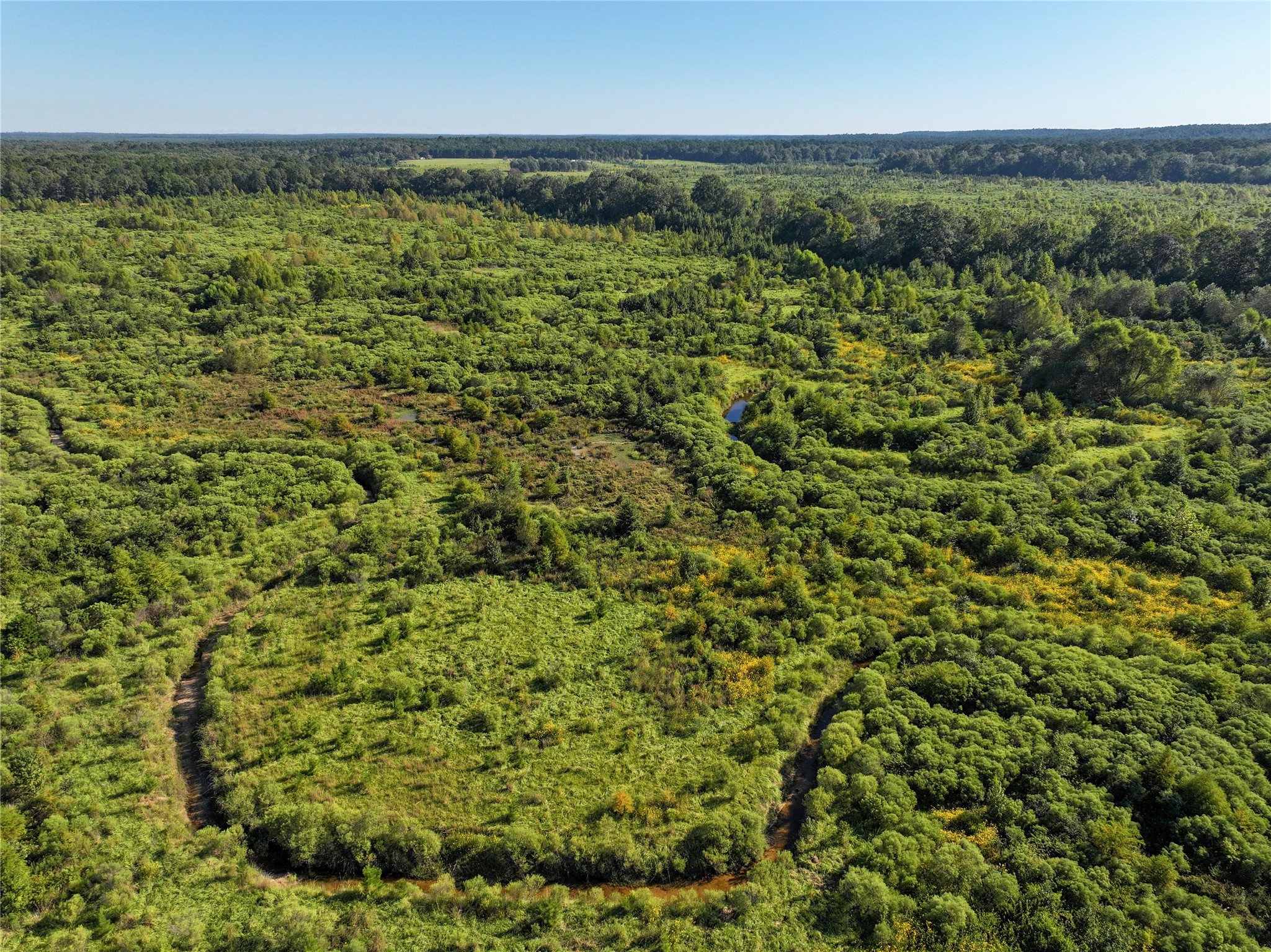 2792 Forest Hopson Road Zavalla, TX 75980 - Photo 10 of 31