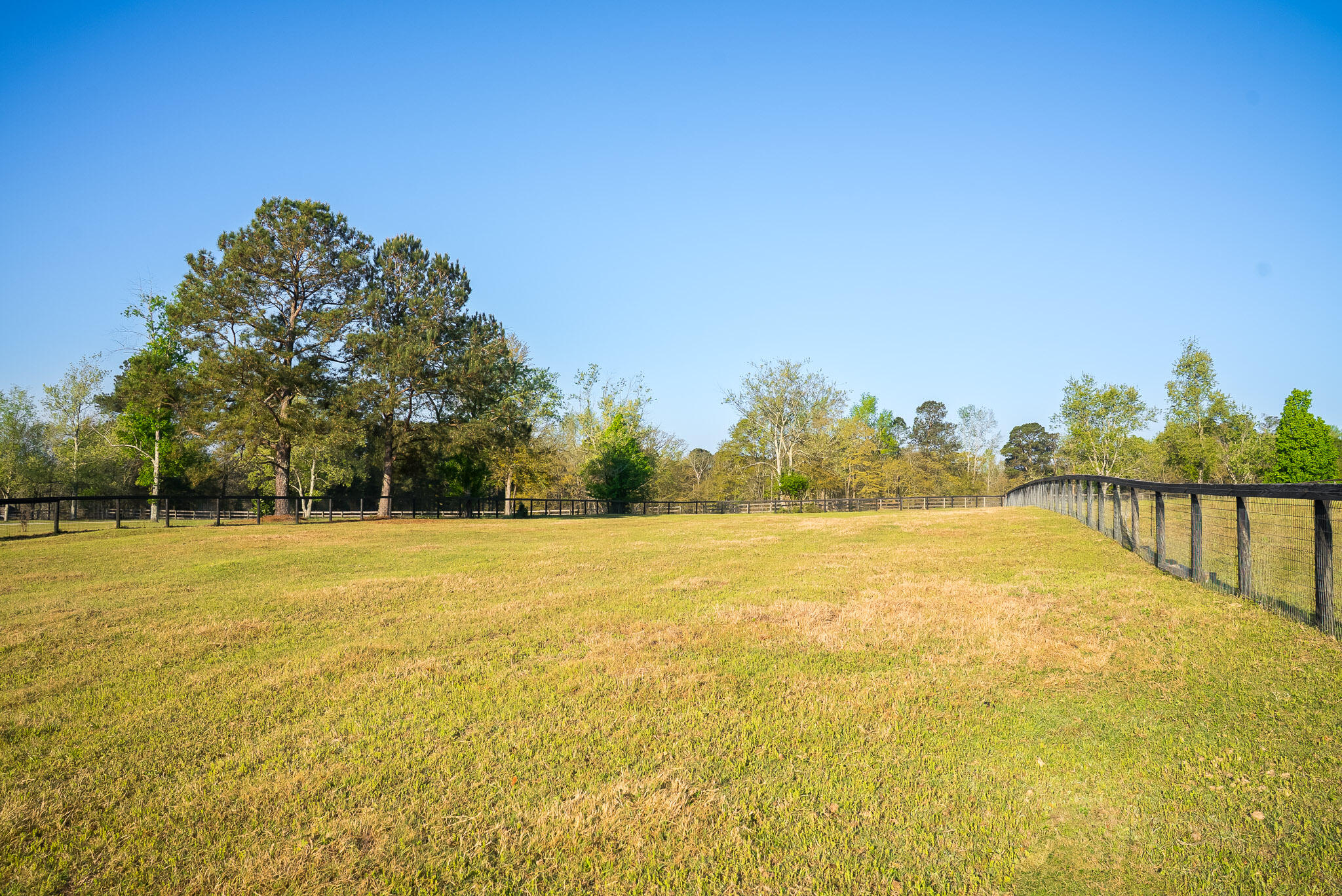 708 New Bridge Road Aiken, SC 29805 - Photo 40 of 55 Gallery Image 40