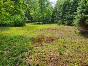 100 West Adams Road Farwell, MI 48622 - Photo 41 of 48