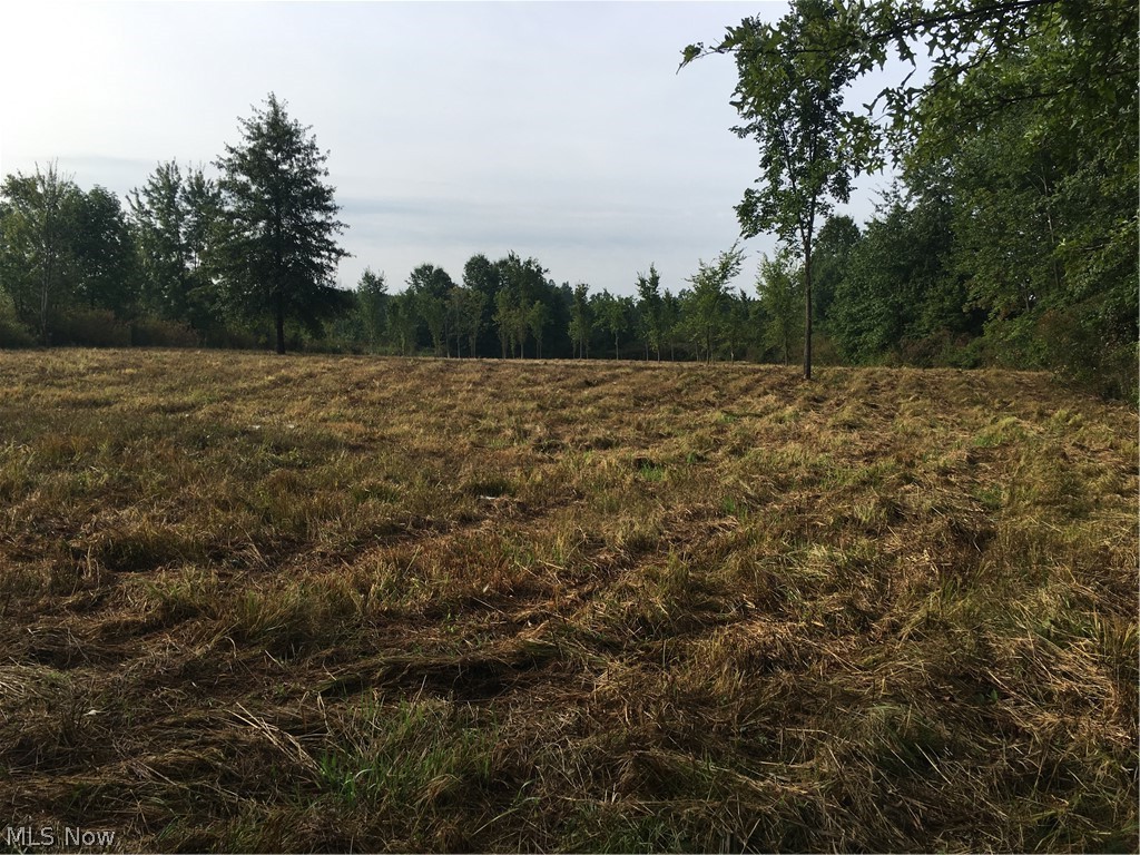 10008 Cable Line Road Newton Falls, OH 44444 - Photo 20 of 31