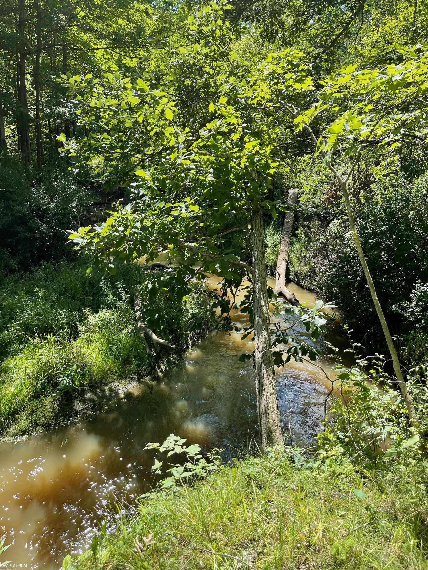 Rattle Run Road St. Clair, MI 48079 - Photo 6 of 11
