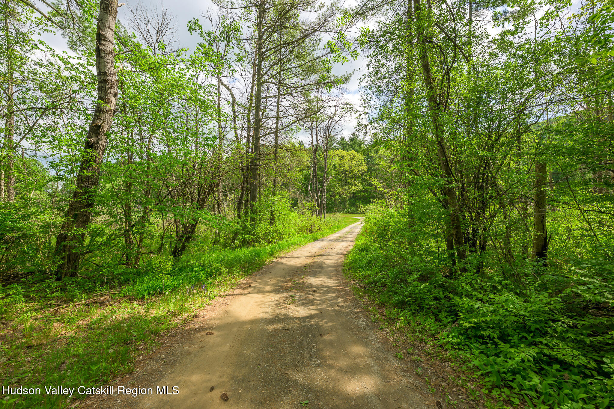 13 Tremper Association Road Canaan, NY 12029 - Photo 20 of 25 Road to cottage