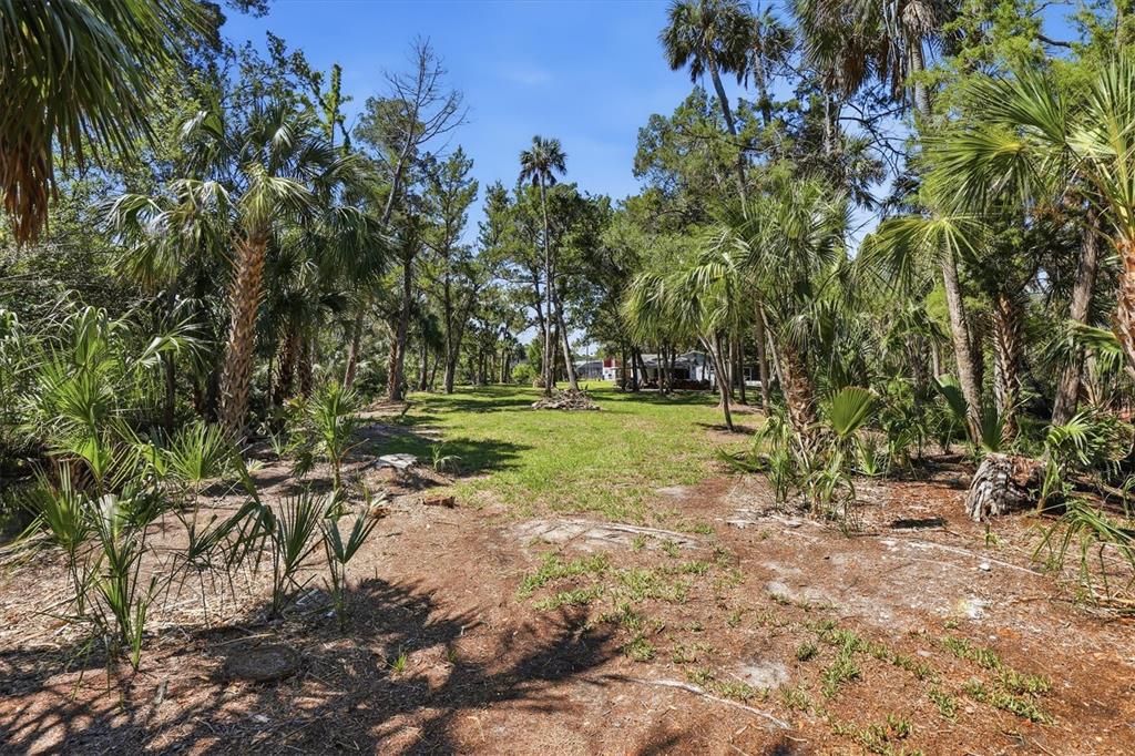 6248 Colony Circle Weeki Wachee, FL 34607 - Photo 8 of 20 a view of a park with large trees