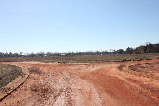 98 US Highway 98 Foley, AL 36535 - Photo 5 of 5