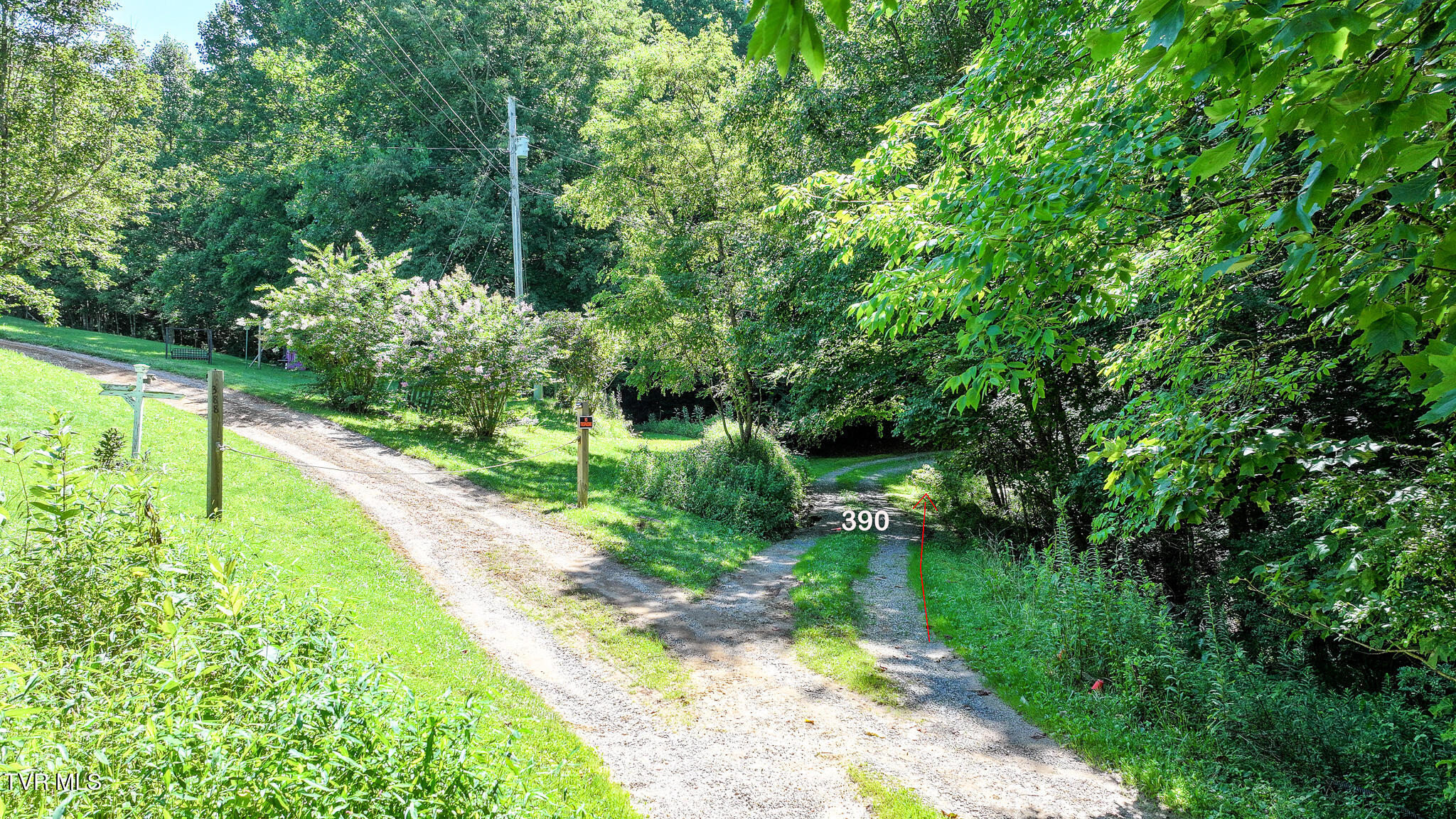 390 Fiddlers Branch Road Hampton, TN 37658 - Photo 73 of 79 75