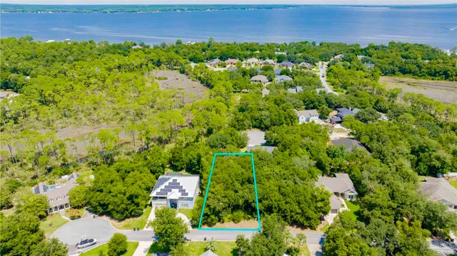 a view of a yard with plants