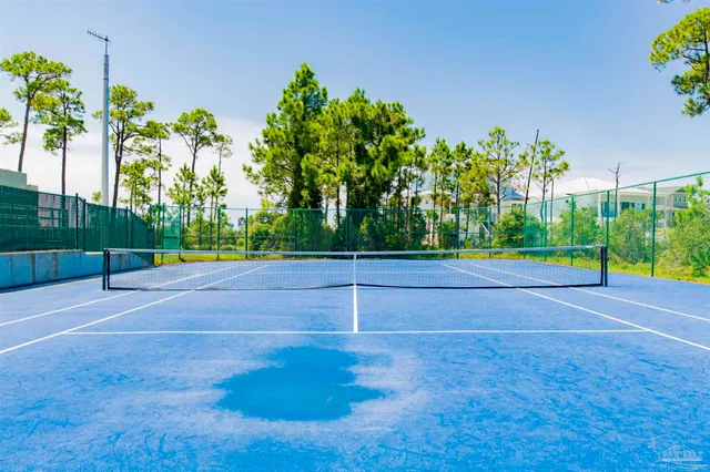 a view of a yard with a large tree