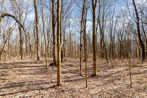 a view of outdoor space with trees
