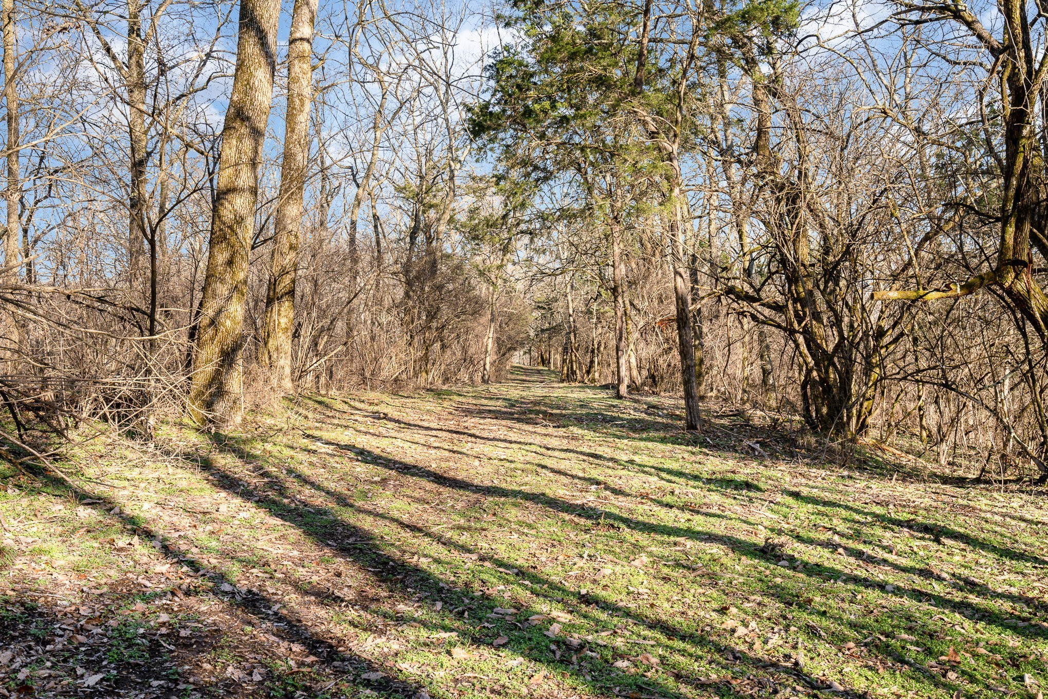 1009 Scramblers Knob Franklin, TN 37069 - Photo 15 of 21 a view of empty space with city view