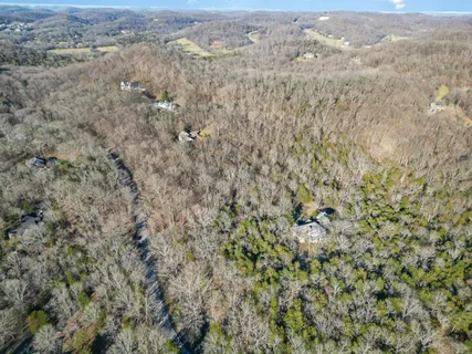an aerial view of residential houses with outdoor space and trees
