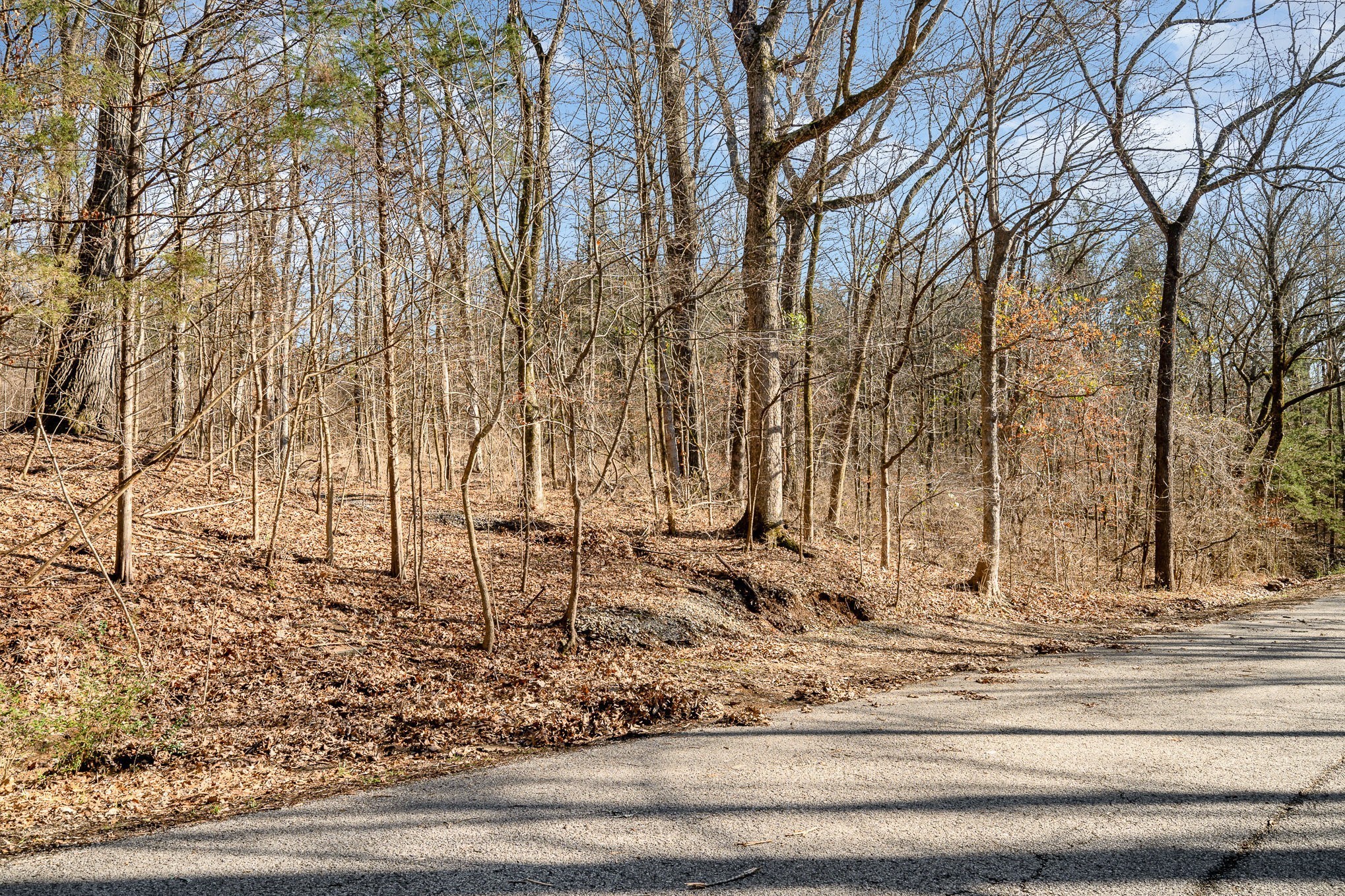 1009 Scramblers Knob Franklin, TN 37069 - Photo 2 of 21 a view of a yard with wooden fence