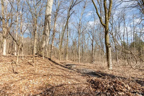 a view of wooden fence under a large tree