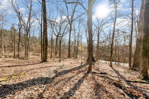 a view of a backyard of the house