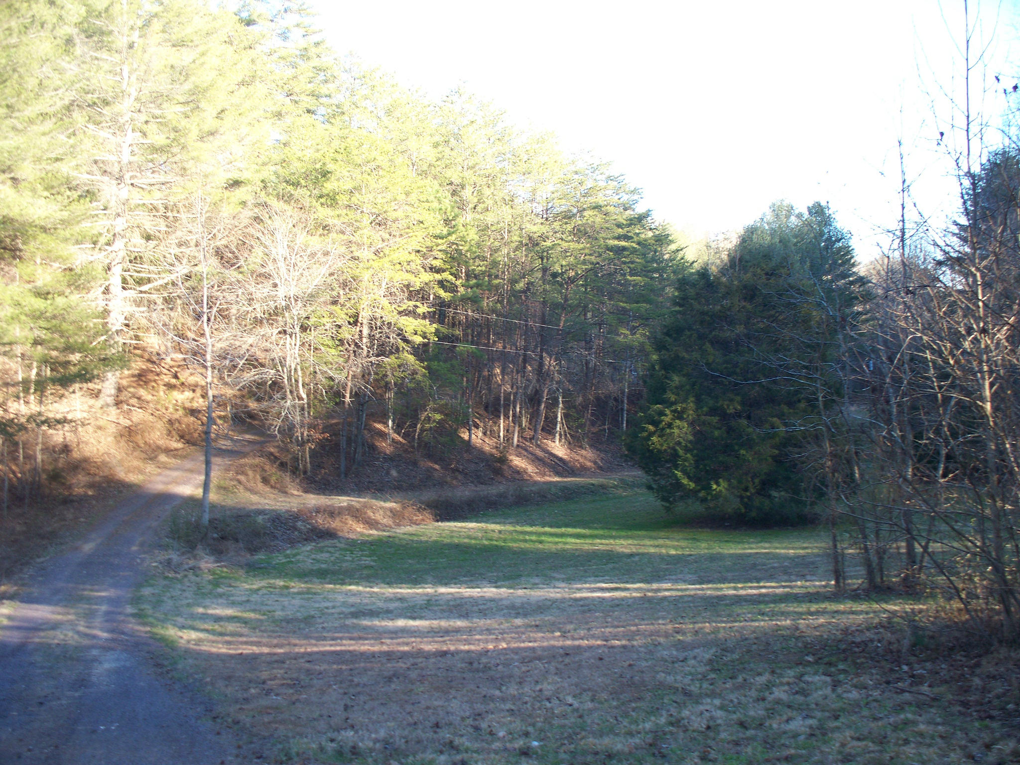 154 Shields Branch Road Tellico Plains, TN 37385 - Photo 22 of 33 100_8580
