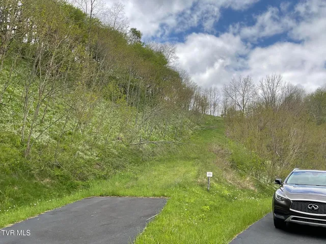 $399,000 | Tbd Northeast Modock Road, Trade, TN 37691