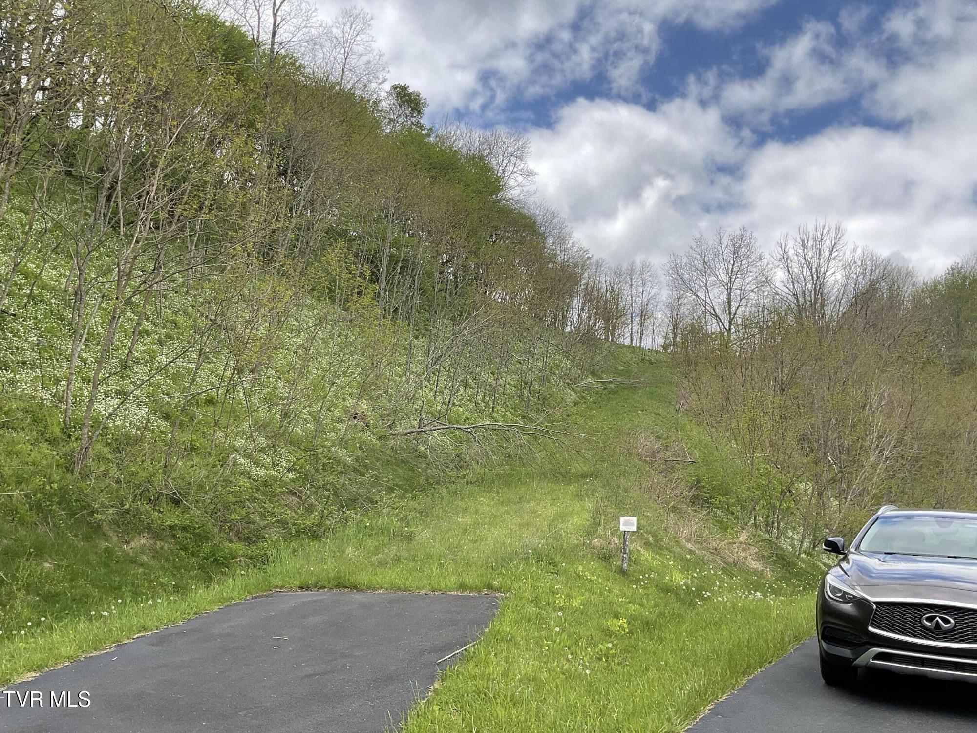 Tbd Northeast Modock Road Trade, TN 37691 - Photo 11 of 14 IMG_1434