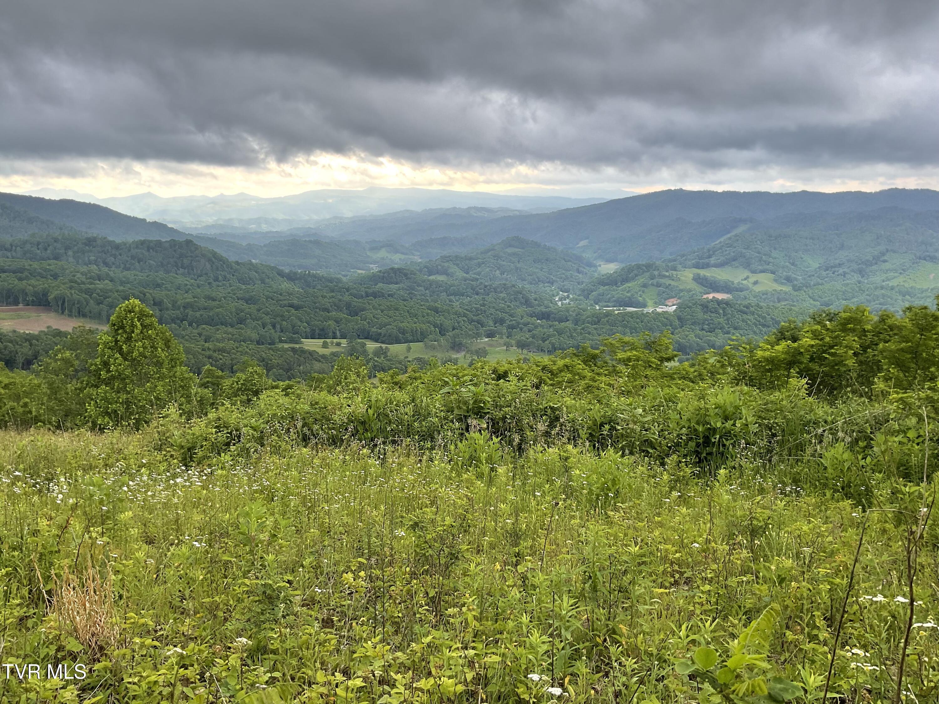 Tbd Northeast Modock Road Trade, TN 37691 - Photo 13 of 14 Sunalei Pic 5