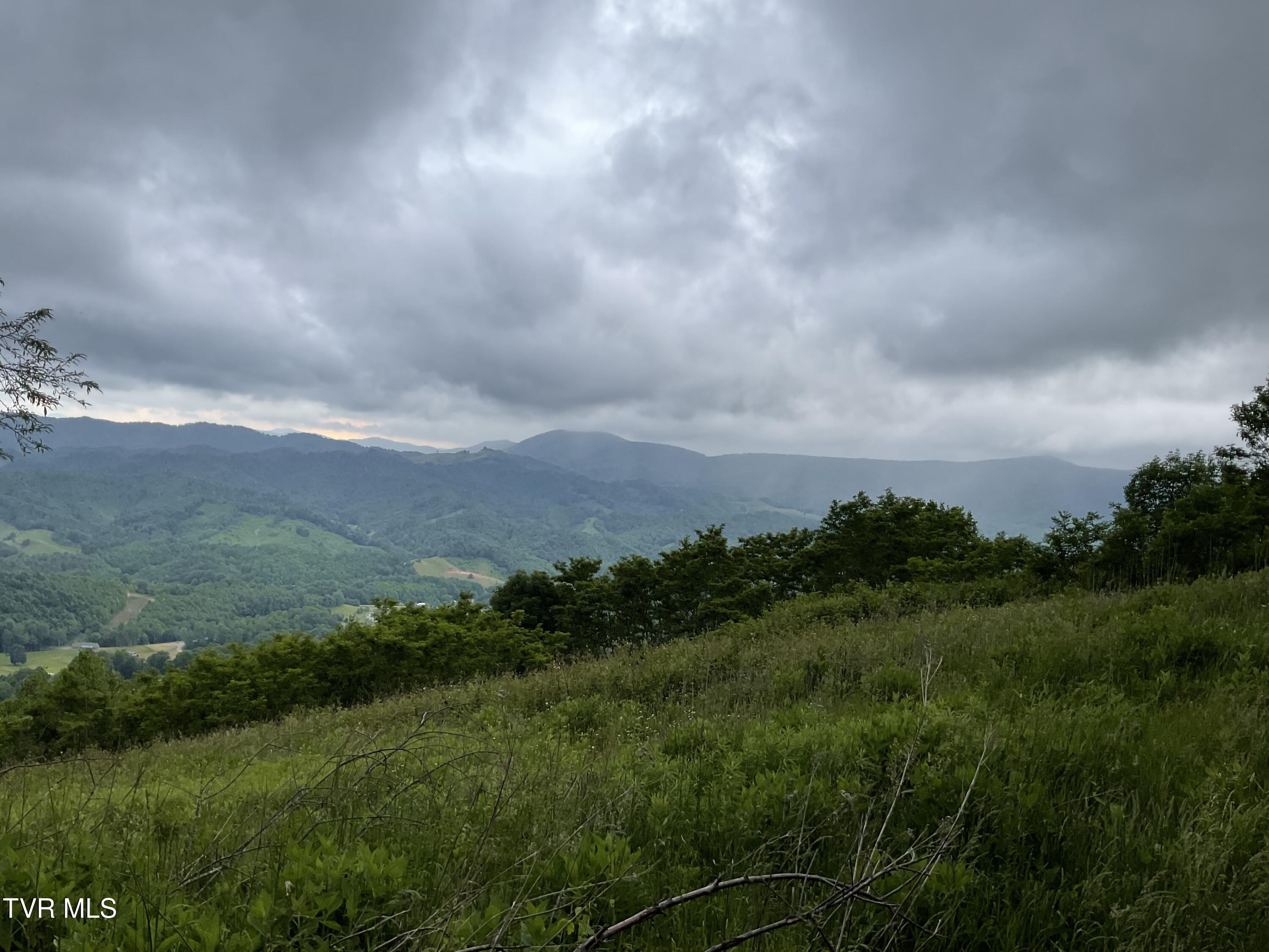 Tbd Northeast Modock Road Trade, TN 37691 - Photo 2 of 14 Sunalei Pic 7