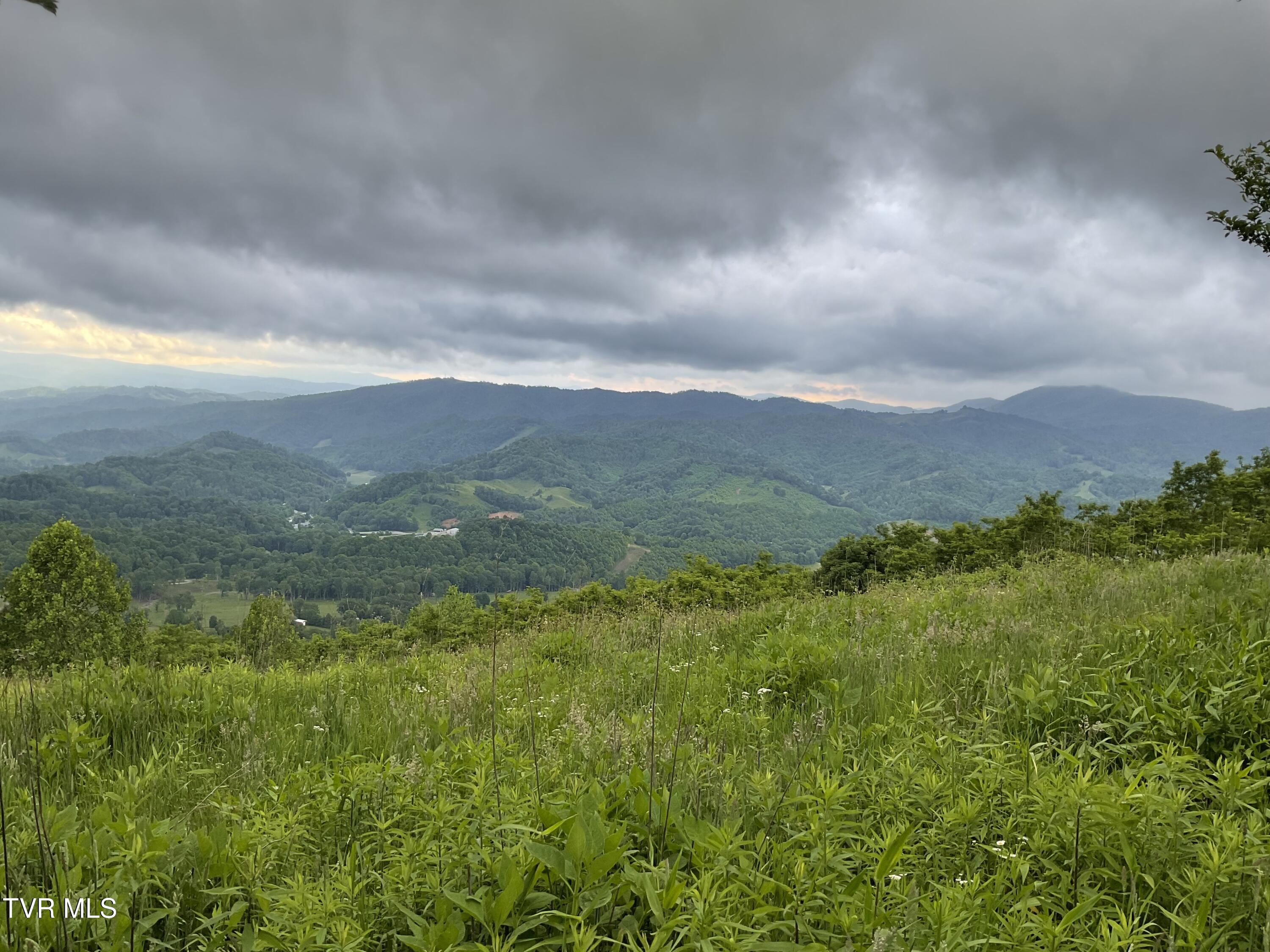 Tbd Northeast Modock Road Trade, TN 37691 - Photo 3 of 14 Sunalei Pic 1