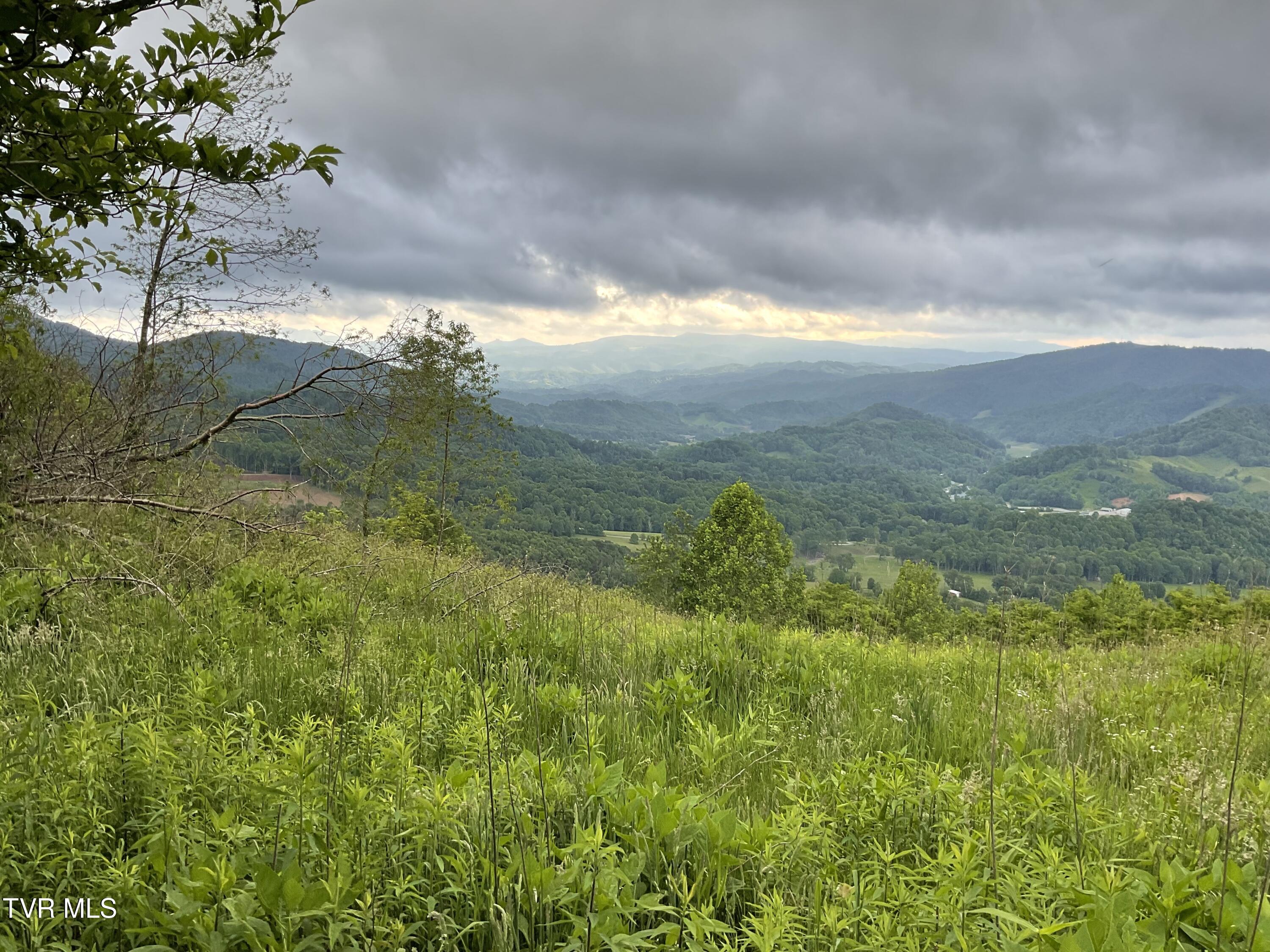 Tbd Northeast Modock Road Trade, TN 37691 - Photo 4 of 14 Sunalei Pic 3