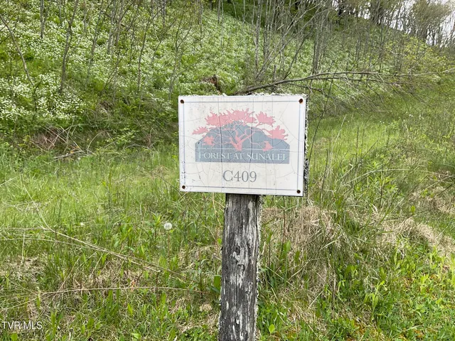 $399,000 | Tbd Northeast Modock Road, Trade, TN 37691