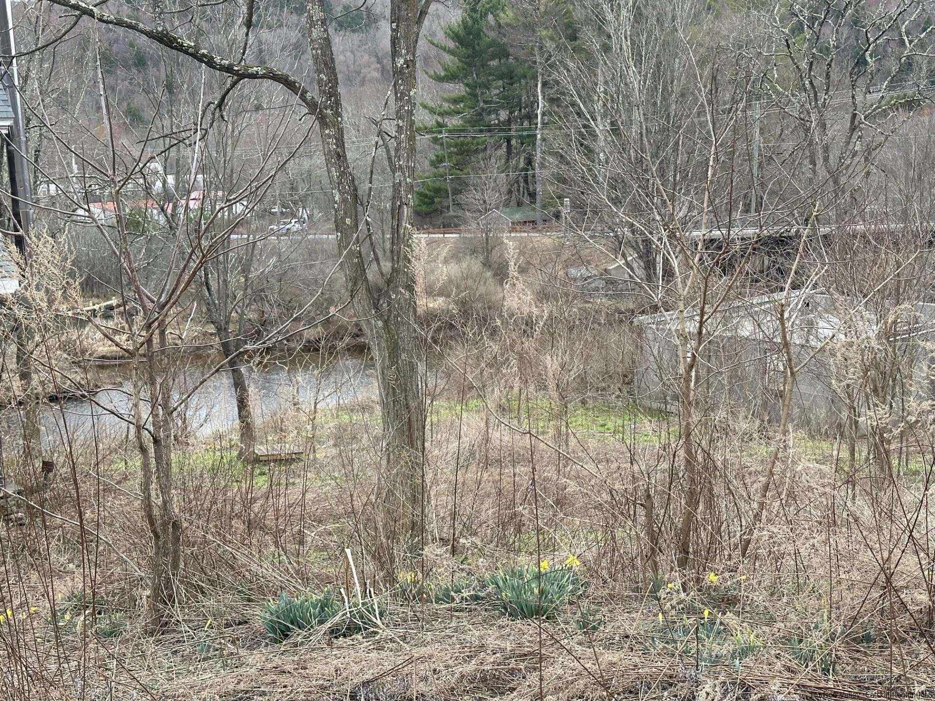 7 Old Rte 52, Unit 13 OLD ROUTE 52 Jeffersonville, NY 12748 - Photo 22 of 26 a backyard of a house with lots of green space