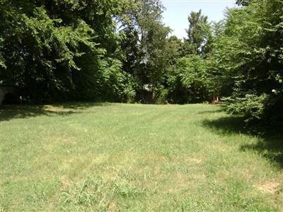 0 West Walnut Street Springfield, MO 65806 - Photo 1 of 1 Primary Photo