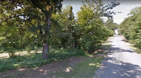 a view of a street with a tree