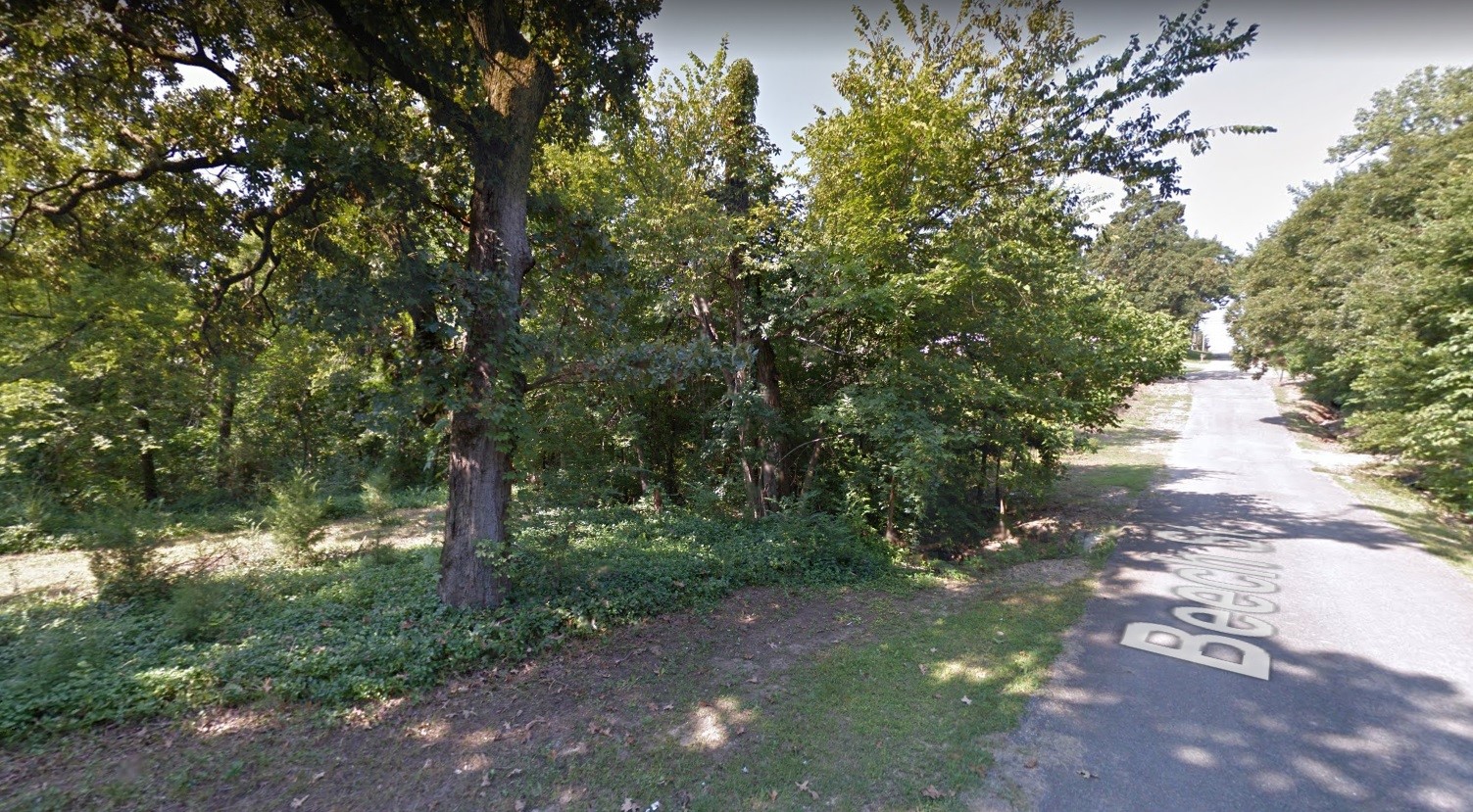 0 Beech Street Other, AR 72415 - Photo 4 of 4 a view of a street with a tree