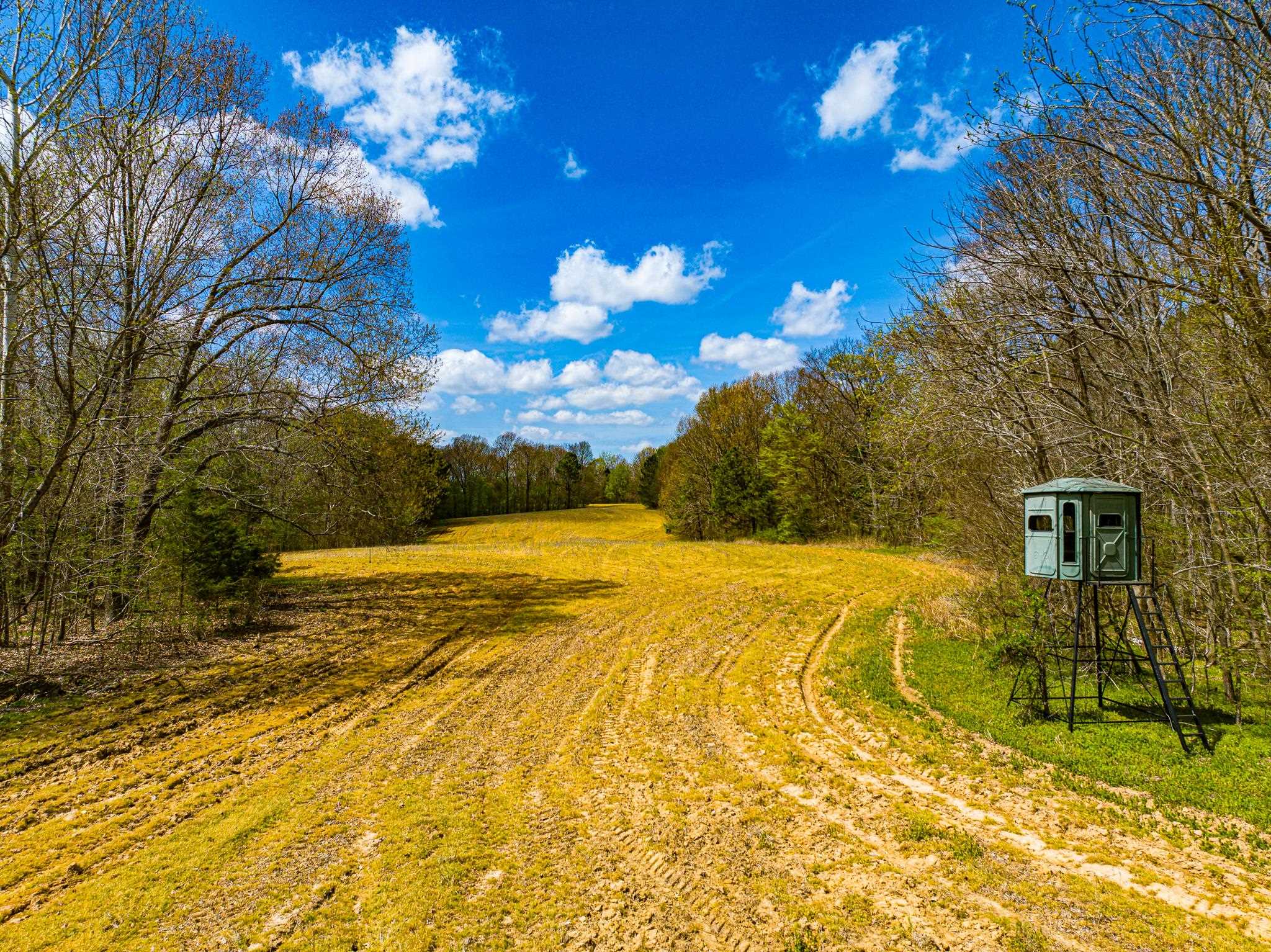 0 Pisgah Road Dresden, TN 38225 - Photo 4 of 40 Gallery Image 4