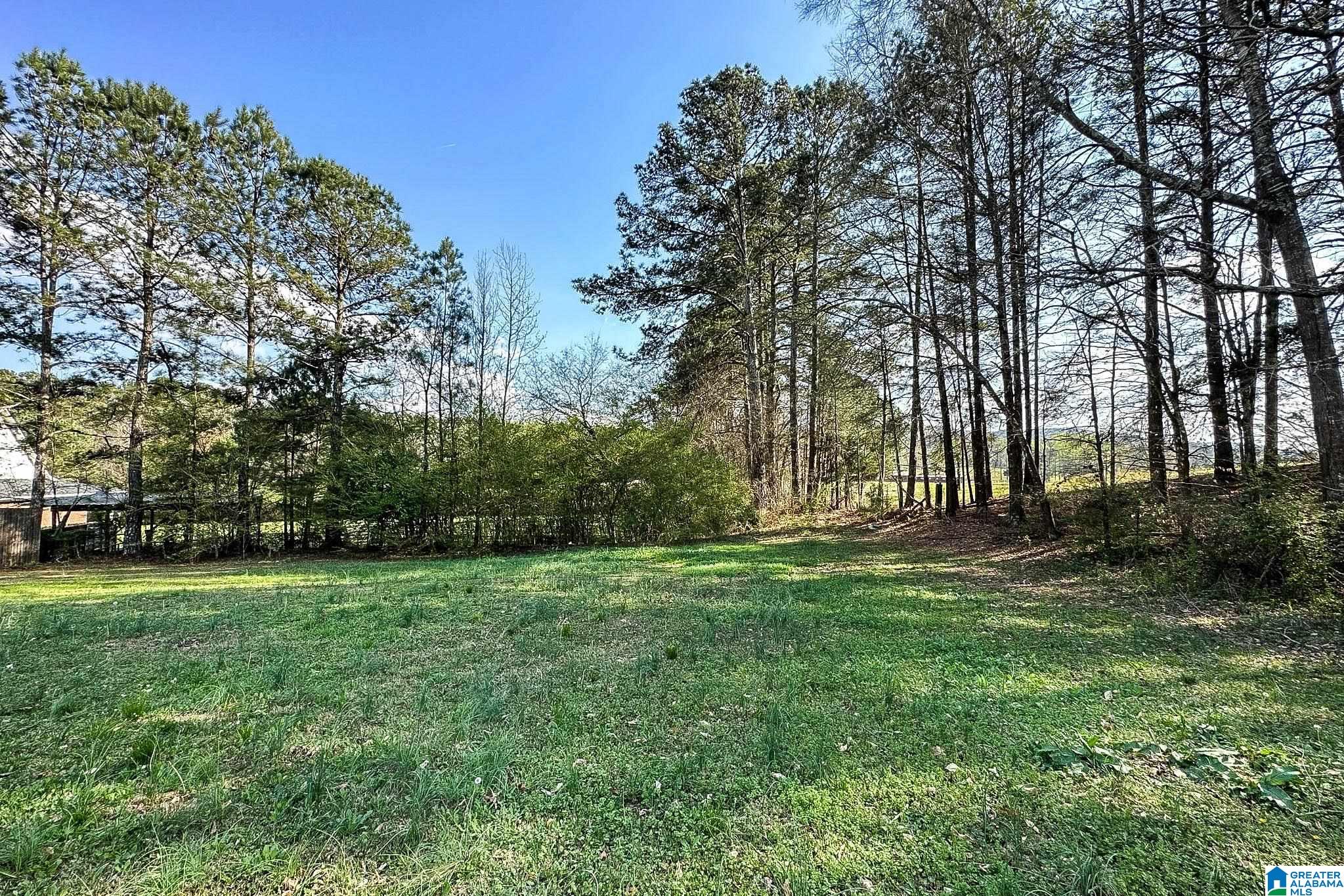4668 McIntosh Road Oxford, AL 36203 - Photo 36 of 44