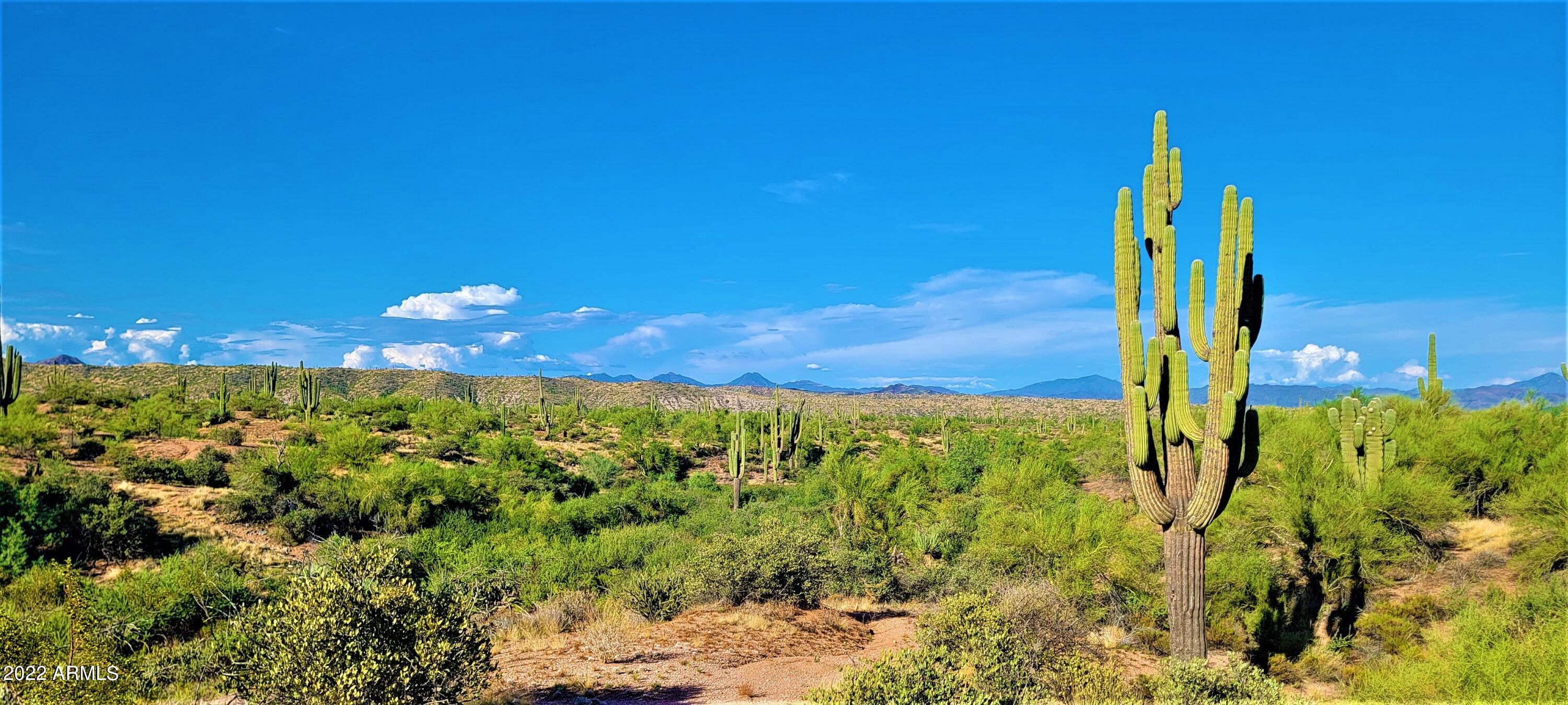142-x3 East Montello Road Scottsdale, AZ 85262 - Photo 1 of 47 Towering Saguaro's