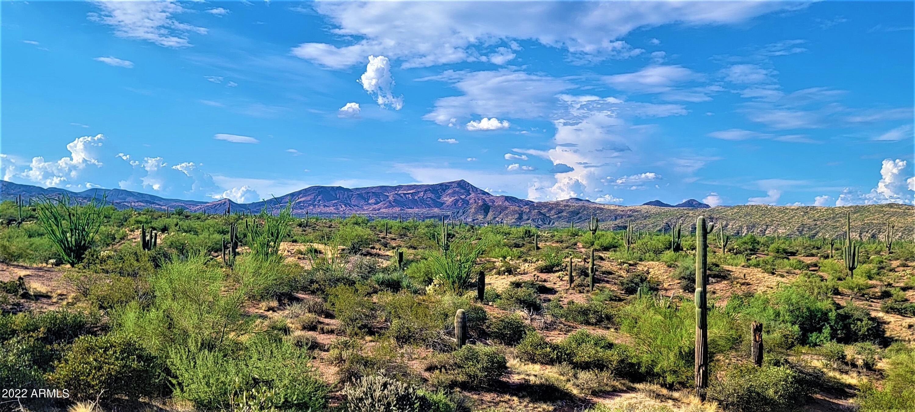 142-x3 East Montello Road Scottsdale, AZ 85262 - Photo 12 of 47 Views of Continental Mt. to the N.