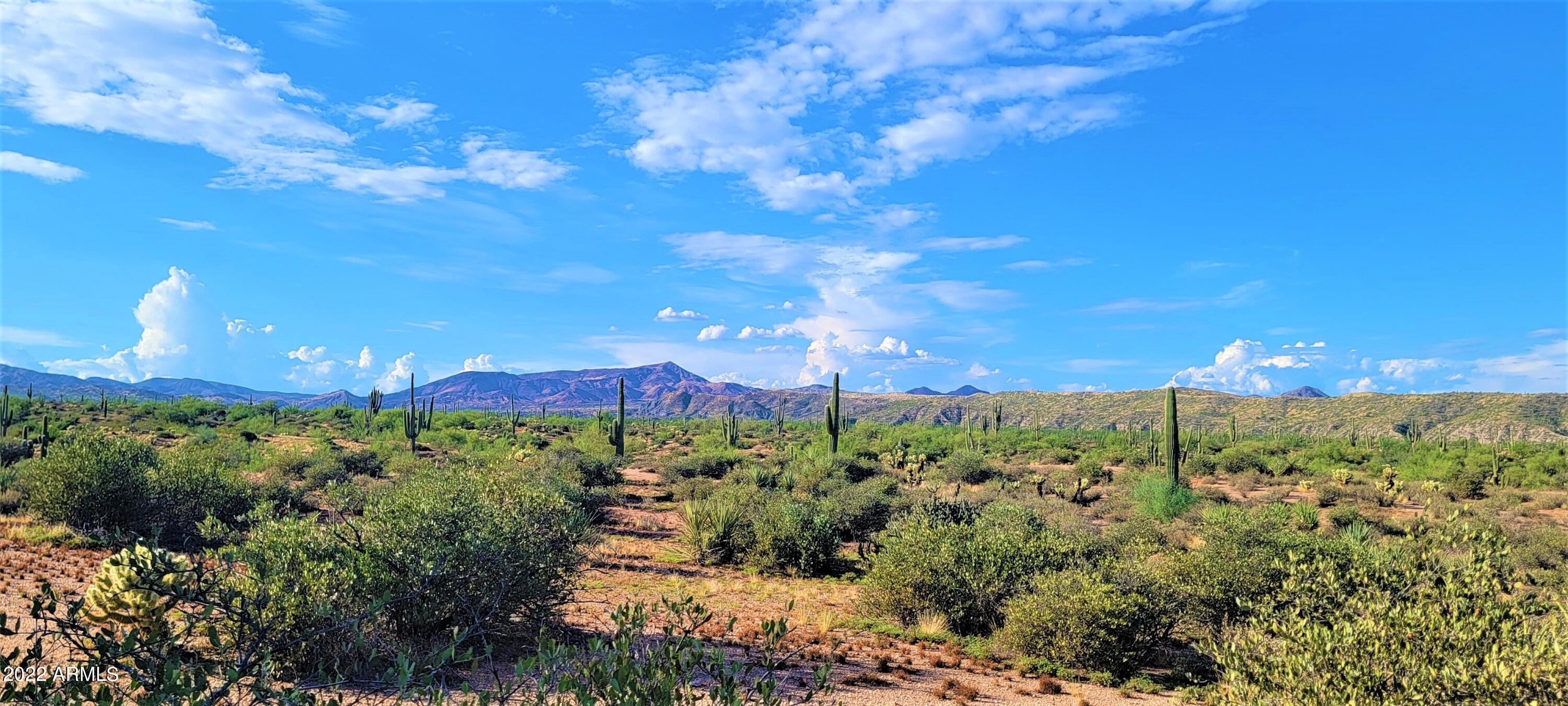 142-x3 East Montello Road Scottsdale, AZ 85262 - Photo 20 of 47 20220816_171323