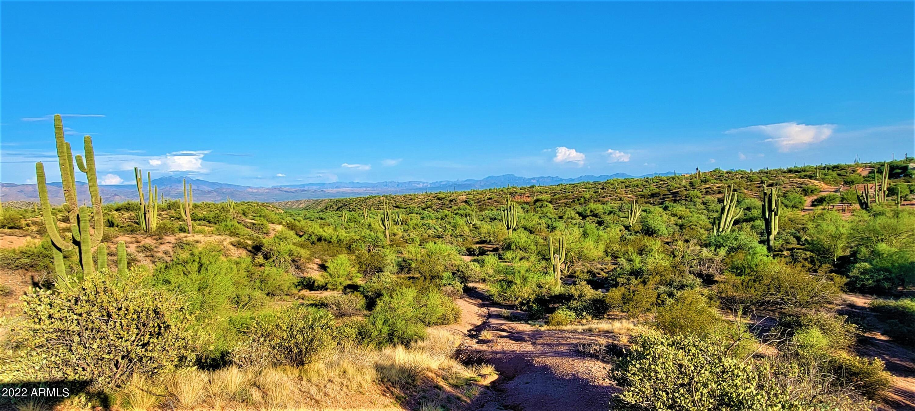 142-x3 East Montello Road Scottsdale, AZ 85262 - Photo 26 of 47 20220816_175200