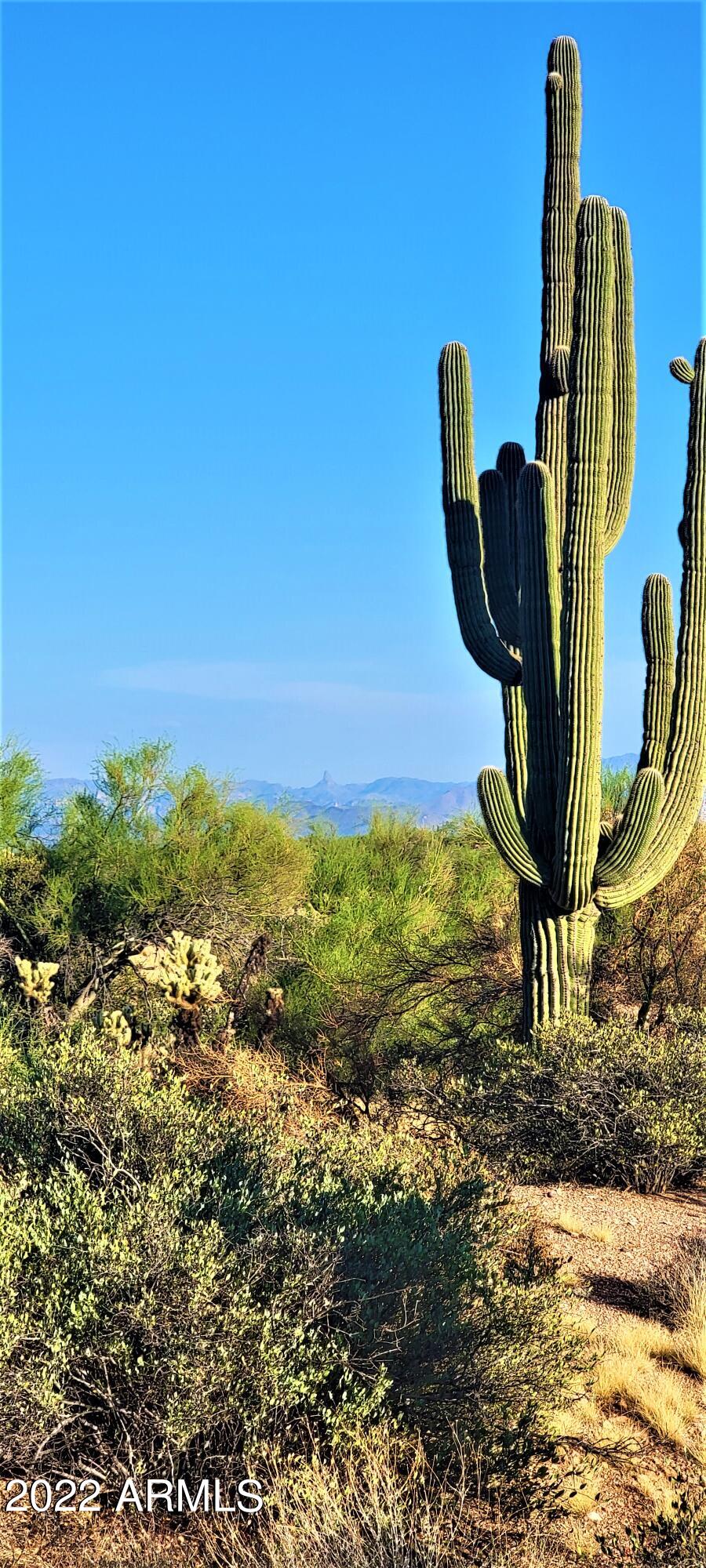 142-x3 East Montello Road Scottsdale, AZ 85262 - Photo 29 of 47 20220816_174811