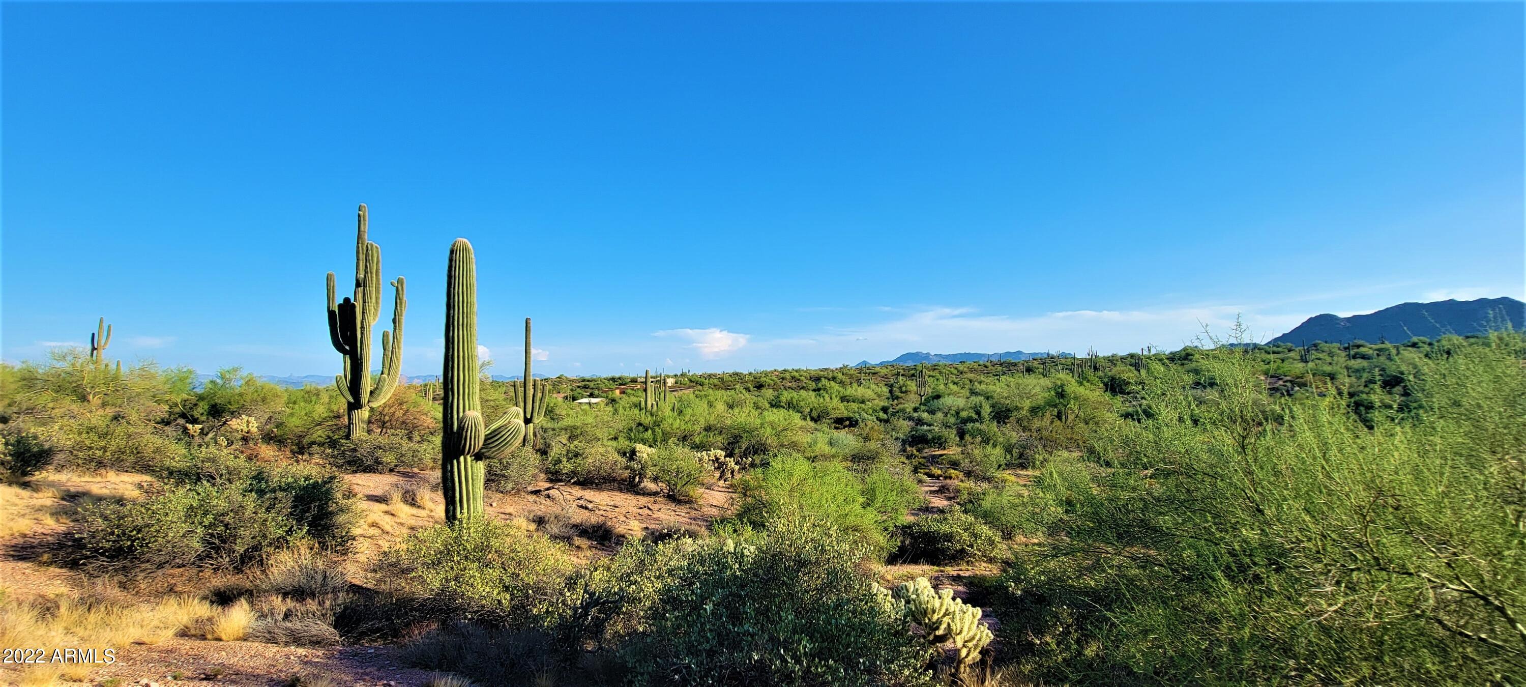 142-x3 East Montello Road Scottsdale, AZ 85262 - Photo 30 of 47 20220816_174820
