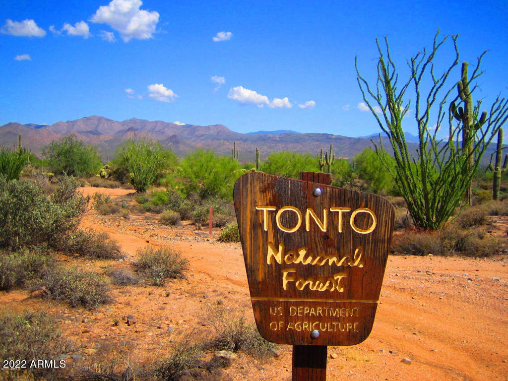 142-x3 East Montello Road Scottsdale, AZ 85262 - Photo 34 of 47 Tonto National Forest sign