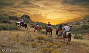 142-x3 East Montello Road Scottsdale, AZ 85262 - Photo 38 of 47 Horse back riding