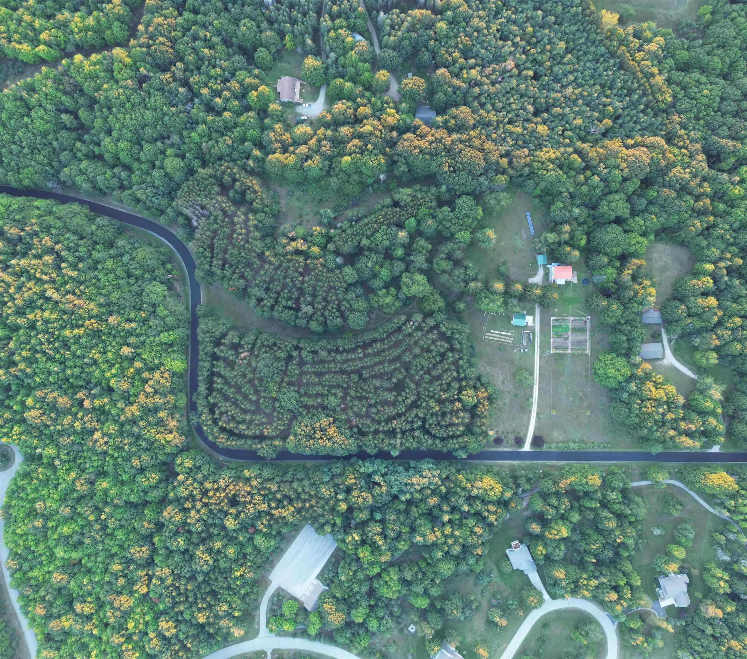 C Pautz Road Frankfort, MI 49635 - Photo 13 of 13