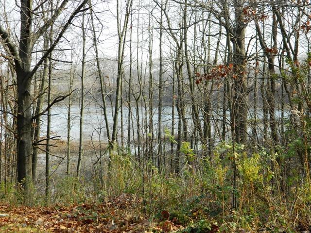 8035 Smith Road Berrien Center, MI 49102 - Photo 3 of 19 Additional Photo