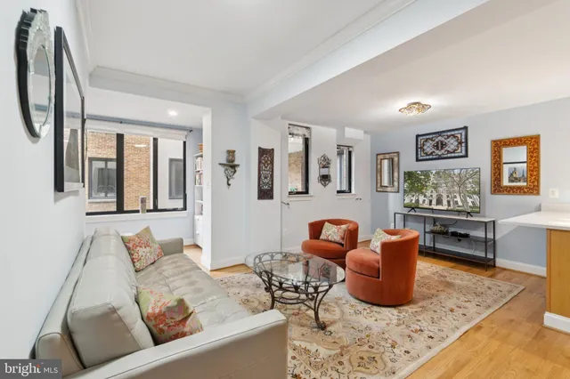 a living room with furniture rug and window
