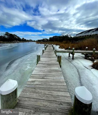 a view of a lake from a city
