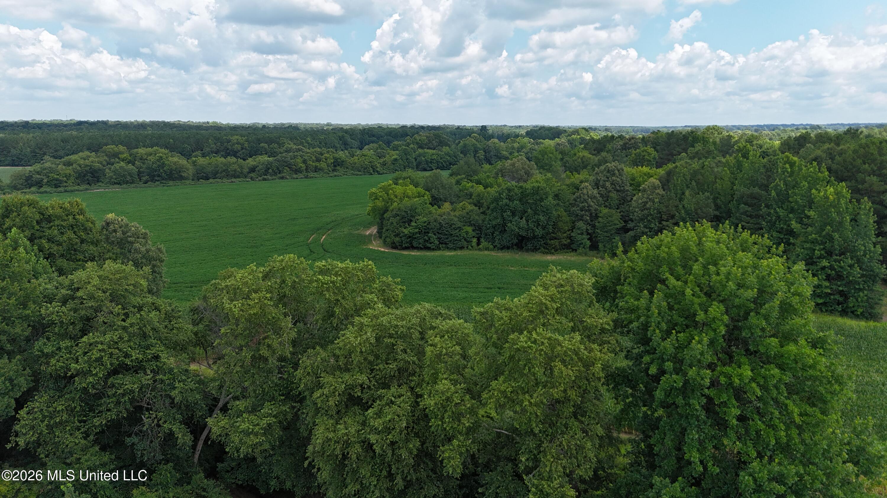 Barr Road Coldwater, MS 38618 - Photo 10 of 19 DJI_20260706120233_0047_D