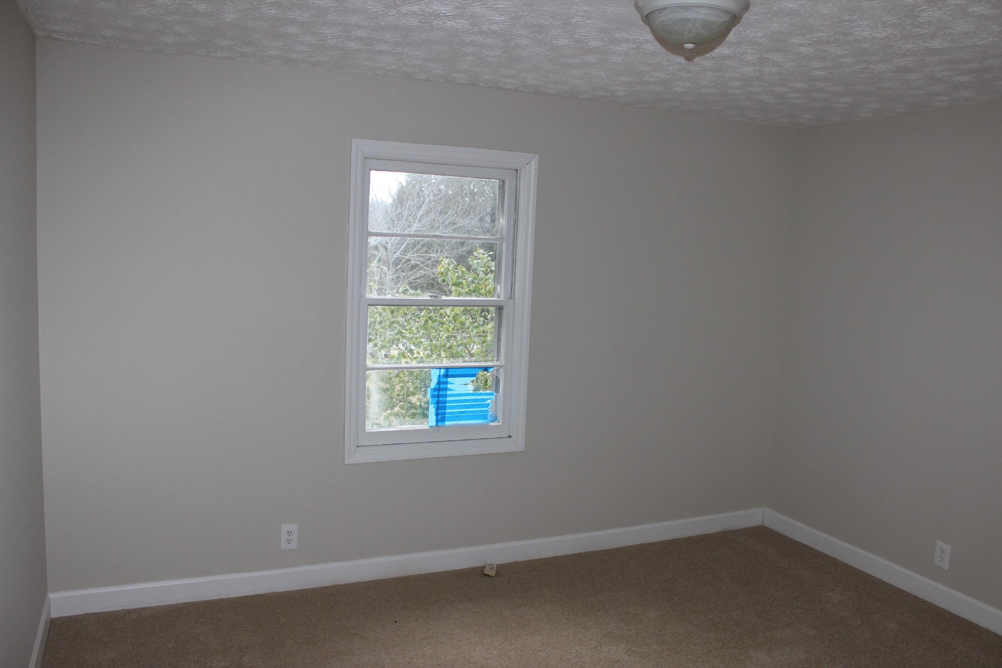 523 Davis Chapel Road La Follette, TN 37766 - Photo 12 of 31 Gallery Image 12
