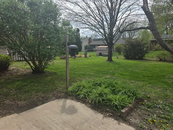 a view of a garden with a tree