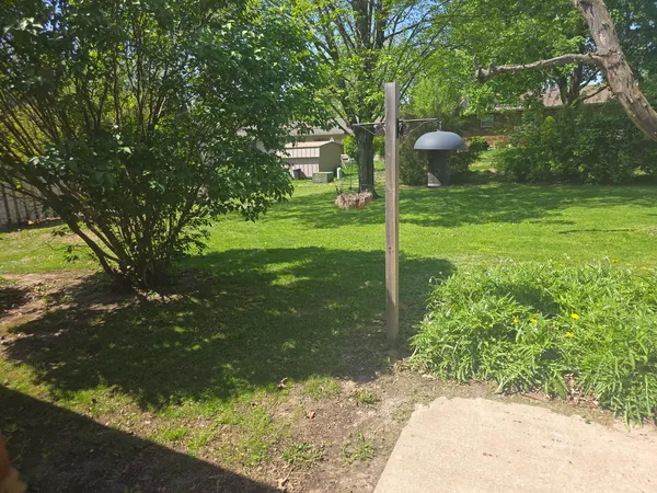 a view of a tree in front of a yard