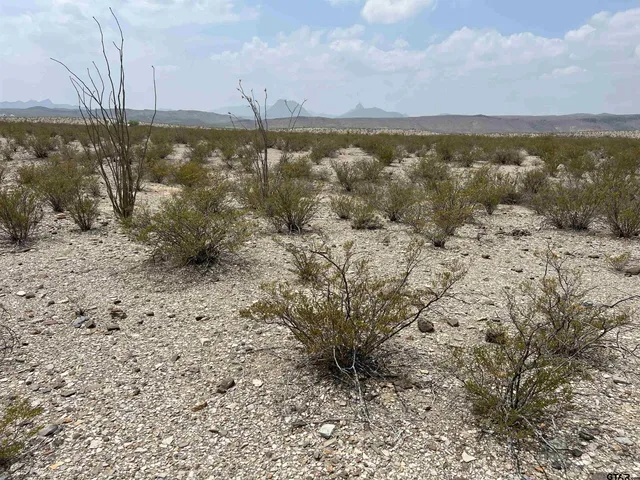 a view of a lake with houses in back