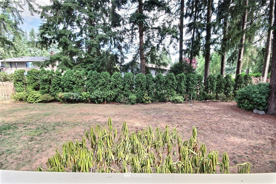 14102 148th Place Southeast Renton, WA 98059 - Photo 17 of 19
